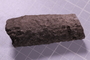 UC 51698 fossil