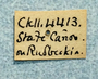 Collection Event Label - US_NM_Cockerell_0000_00_00_002_label