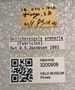 Collection Event Labels - US_SD_Scruggs_1941_08_16_001_labels