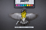 Bird PLUME Image, Coll Num S19-5008