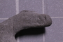 PE 91596 fossil3