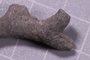 PE 91599 fossil3