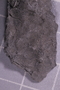 PE 91603 fossil2