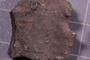 PE 91605 fossil3