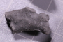 PE 91620 fossil4