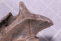 UC 14919 fossil3