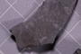 UC 29436 fossil2