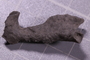 UC 48218 fossil