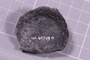 UC 60749 fossil10
