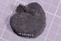 UC 60749 fossil2