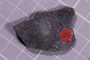 UC 60749 fossil23
