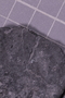 UC 60749 fossil3