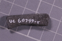 UC 60749 fossil33