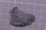 UC 60749 fossil4
