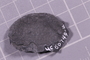 UC 60749 fossil41