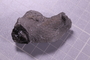 UC 60749 fossil8