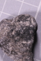 UC 60751 fossil3