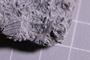PE 91422 fossil2
