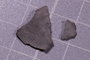 PE 91520 fossil