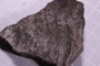PE 91542 fossil