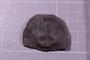 PE 91545 fossil