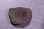 PE 91545 fossil2