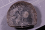 PE 91548 fossil2