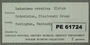 PE 61724 Label