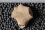 PE 61724 fossil4