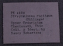 PE 4232 label