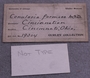 UC 19304 label