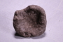 P 10987 fossil2