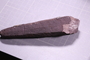 P 379 a fossil