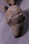 P 7488 fossil2