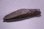 PE 1361 fossil