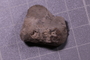 PE 17834 fossil2