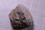 PE 17852 fossil2