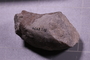PE 28579 fossil2