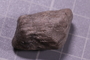 PE 4230 fossil