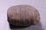 PE 4231 fossil