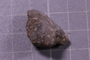 PE 4242 fossil