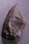 PE 5557 fossil3
