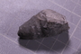 PE 5835 fossil