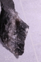 PE 91552 fossil2