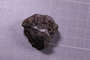 PP 22589 a fossil