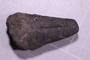 UC 15657 fossil