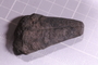 UC 15657 fossil2