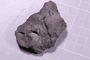 UC 3699 fossil