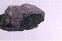 UC 37886 fossil2