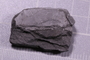 UC 427 a fossil